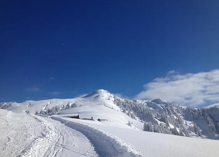 Appartamento Ws-appartement Kitzbühel